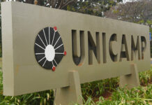Pesquisadores da Unicamp desenvolvem açúcar de cana com baixo índice glicêmico