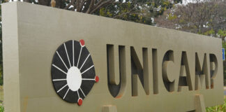 Pesquisadores da Unicamp desenvolvem açúcar de cana com baixo índice glicêmico