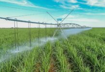 Safra paulista 2025/2026 terá chuvas até abril