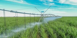 Safra paulista 2025/2026 terá chuvas até abril