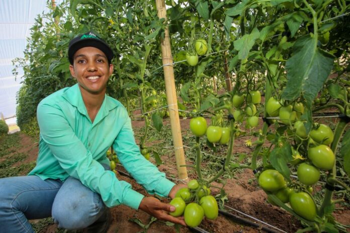 36-milhoes-Governo-de-SP Feap
