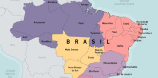 Brasil abre 13 novos mercados para produtos agropecuários e amplia presença internacional do agro