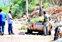Planejamento faz operação contra descarte irregular de lixo