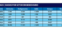 Emprego vira o jogo em 2025 e Bebedouro fecha ano com saldo positivo de 1.204 vagas