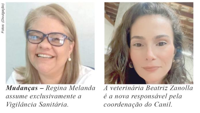 Arte novos coordenadores