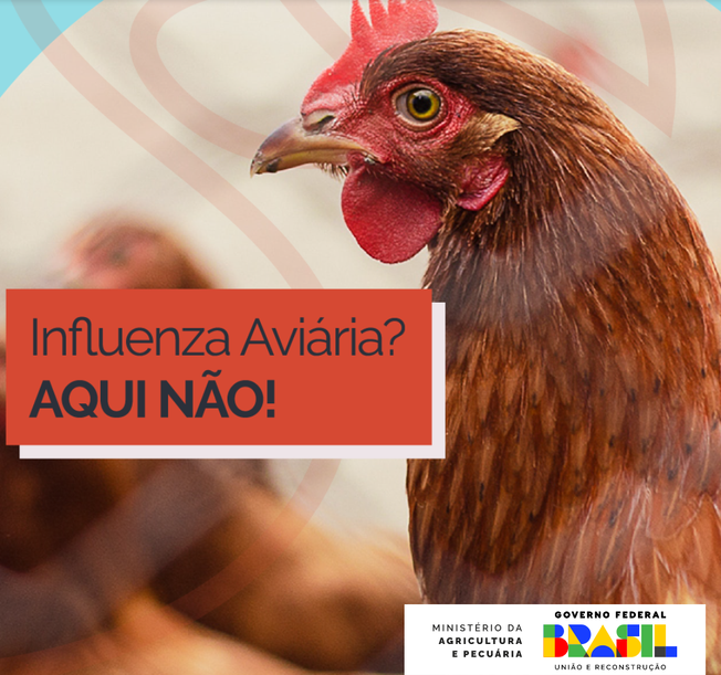 Campanha Aviária OK