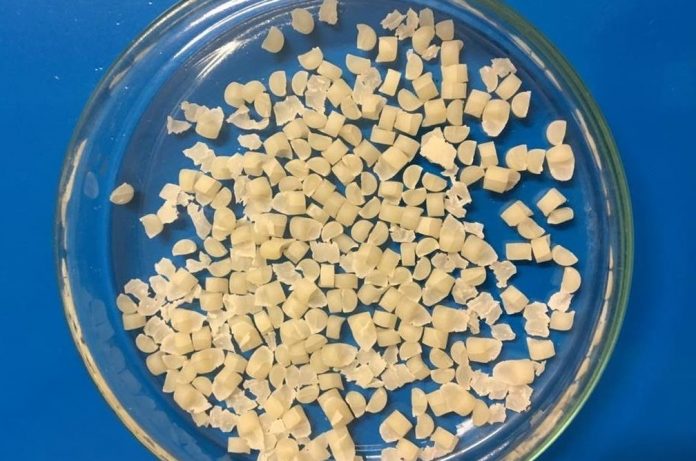 Créditos - Patricia Cardoso - Unicamp