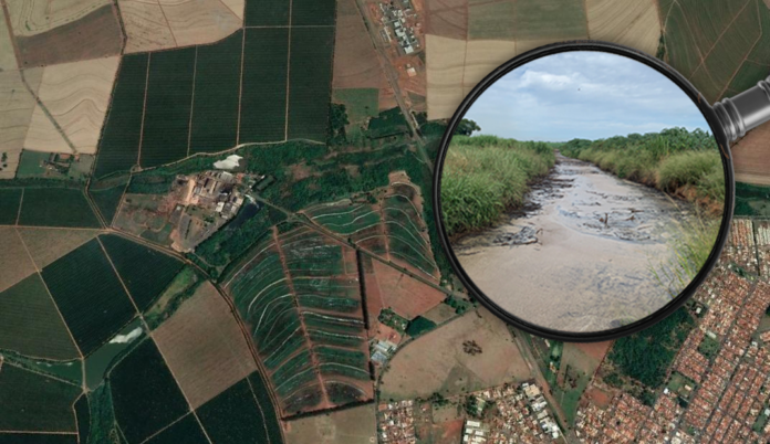 Detalhe - Louis Dreyfus