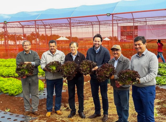 Doação de Hortaliças (7)