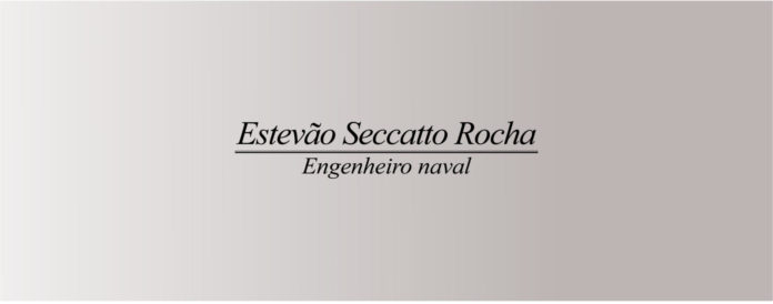 Estevão Seccatto Rocha - articulistas