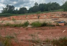 Gestor esclarece destino de emenda de R$ 500 mil, ligada ao Canil Municipal