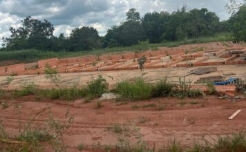Gestor esclarece destino de emenda de R$ 500 mil, ligada ao Canil Municipal