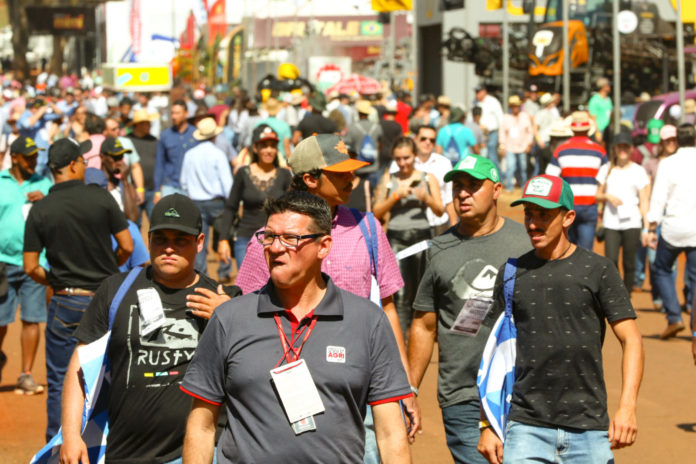 Foto 4 - caso opte por essa, o crédito é Divulgação