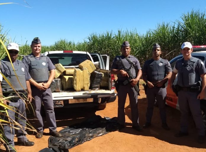 Ponto para PM - Após denúncia anônima, policiais apreenderam mais de 400 tijolos de maconha, que estavam abandonados em canavial. (Divulgação/PM)