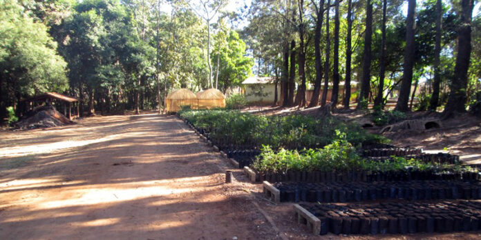 G190717Z-ZMudasZsoZoferecidasZgratuitamenteZZpopulao-foto01 (1)