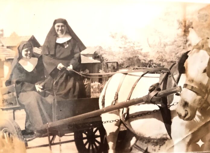 Gemini_Generated_Image_19czsz19czsz19cz_Easy-Resize.com