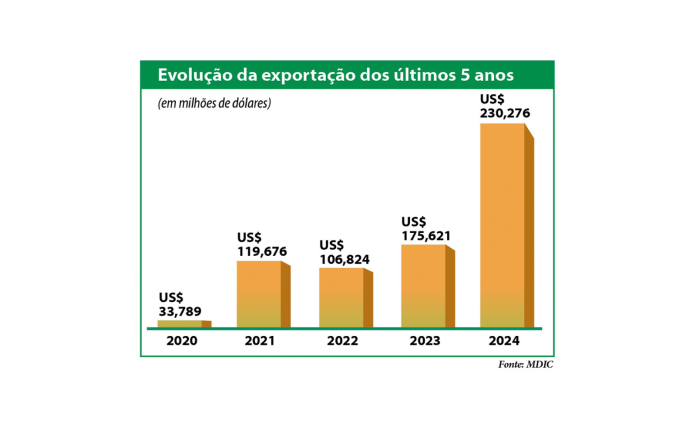 Grafico Exportações site