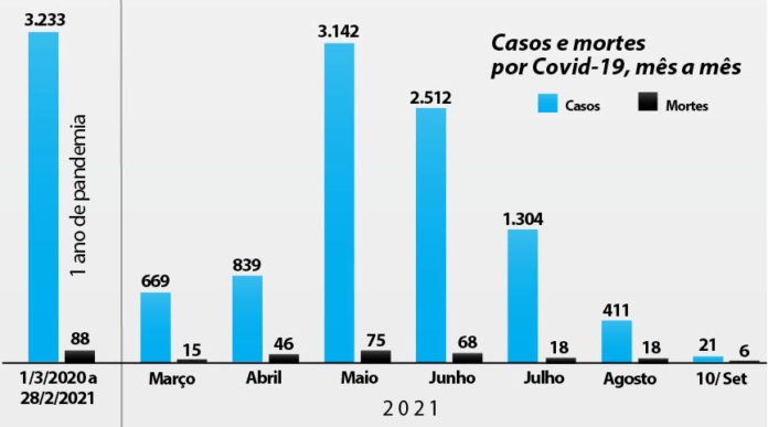 Gráfico casos e mortes_ mes a mes _ tres colunas