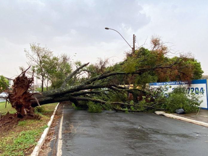 IMG-20211001-WA0099 Chuva OK