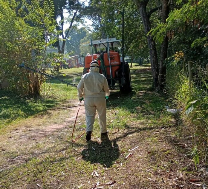 IMG-20230616-WA0042 Dedetiz lago