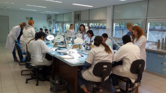 IMG-20231019-WA0022 Laboratorio de sem e mudas