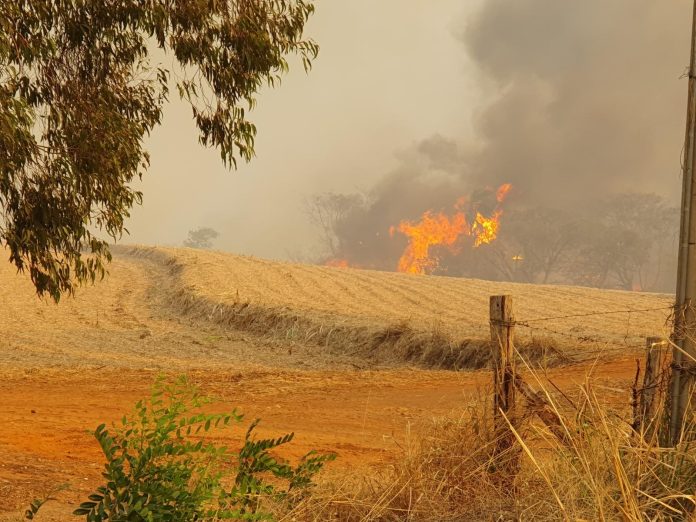 IMG-20240913-WA0012 incendio