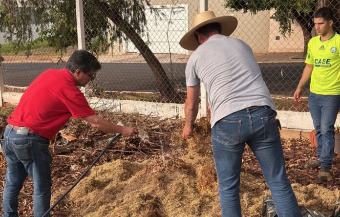 IMG_4731 compostagem