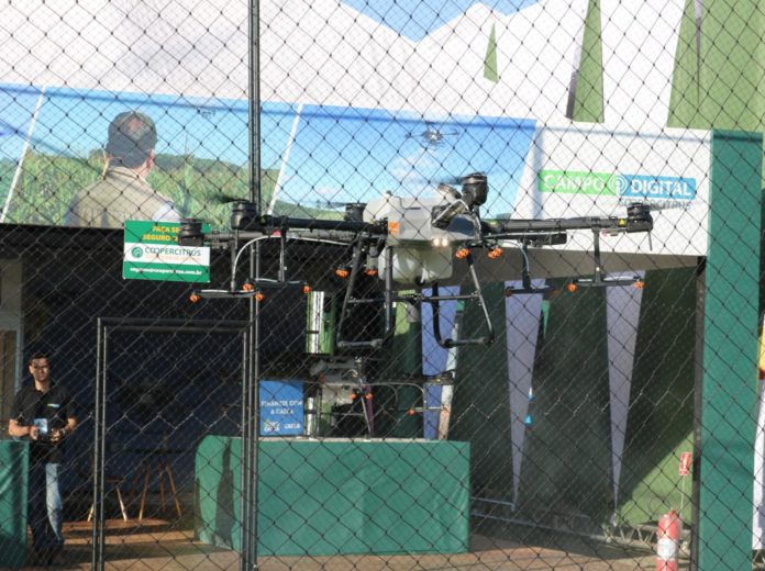 IMG_5612 Coopercitrus