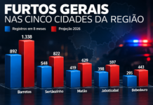 Cinco cidades da região somam mais de 2,5 mil furtos em 8 meses