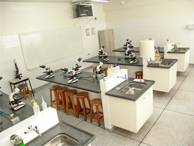 Laboratório de Microbiologia Imunologia Parasitologia Patologia