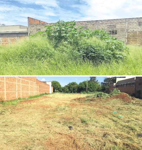 Lixo antes e depois da limpeza