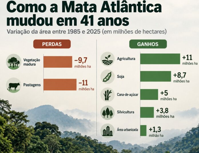 Mata