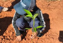 Educação ambiental ganha destaque em atividades com alunos da rede municipal