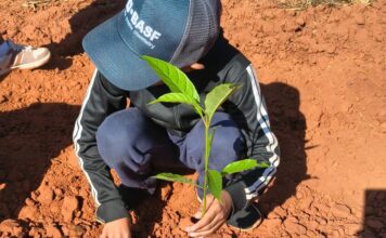 Educação ambiental ganha destaque em atividades com alunos da rede municipal