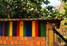 Queda de árvore danifica barracão do Centro Cultural Ambiental Angola É Ouro
