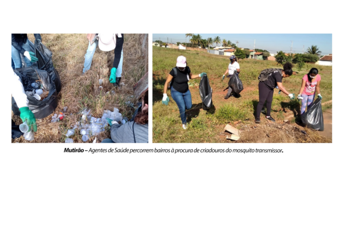 Mutirão dengue site