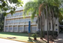 Agronegócio emprega 28,58 milhões de pessoas no maior nível da série histórica