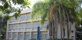 Agronegócio emprega 28,58 milhões de pessoas no maior nível da série histórica