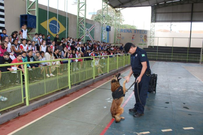 Primeira apresentação do Projeto Canil Municipal (9)