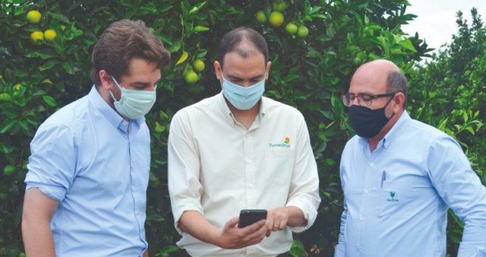 SistemaZdeZgestoZ-ZgrupoZHauston SGF Fundecitrus