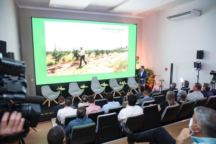 _TUL2325 Safra laranja 2 OK