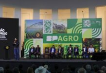 Brasil cria centro de pesquisa para fortalecer combate ao greening na citricultura
