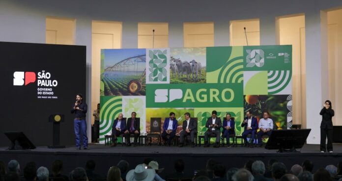 WhatsAppZImageZ2024-12-12ZatZ21.28.09Z1