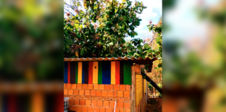 Queda de árvore danifica barracão do Centro Cultural Ambiental Angola É Ouro