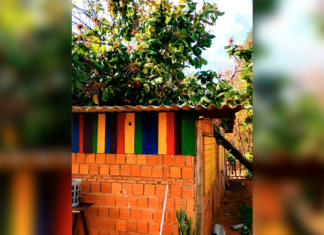 Queda de árvore danifica barracão do Centro Cultural Ambiental Angola É Ouro