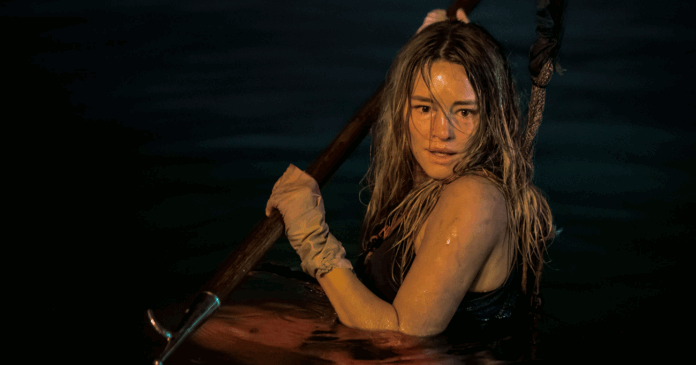 animais perigosos Critica