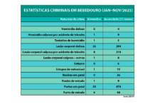 Bebedouro soma mais de mil registros criminais em 11 meses de 2025
