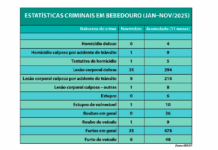 Bebedouro soma mais de mil registros criminais em 11 meses de 2025