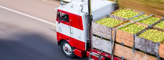 bjiAIrgE-transporte-agricola-jpeg