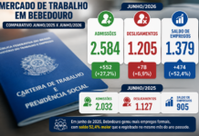 Agro gera 97,5% dos empregos gerados em Bebedouro em junho